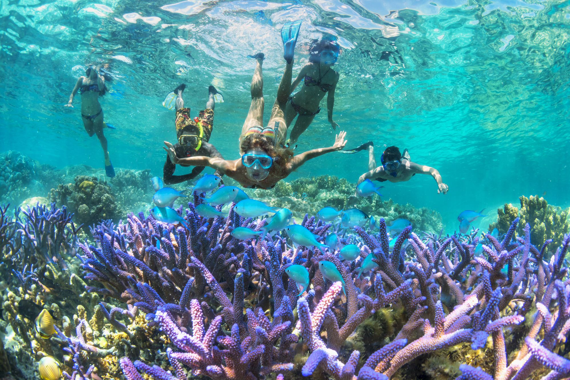 Noumea Island snorkeling things to do in New Caledonia